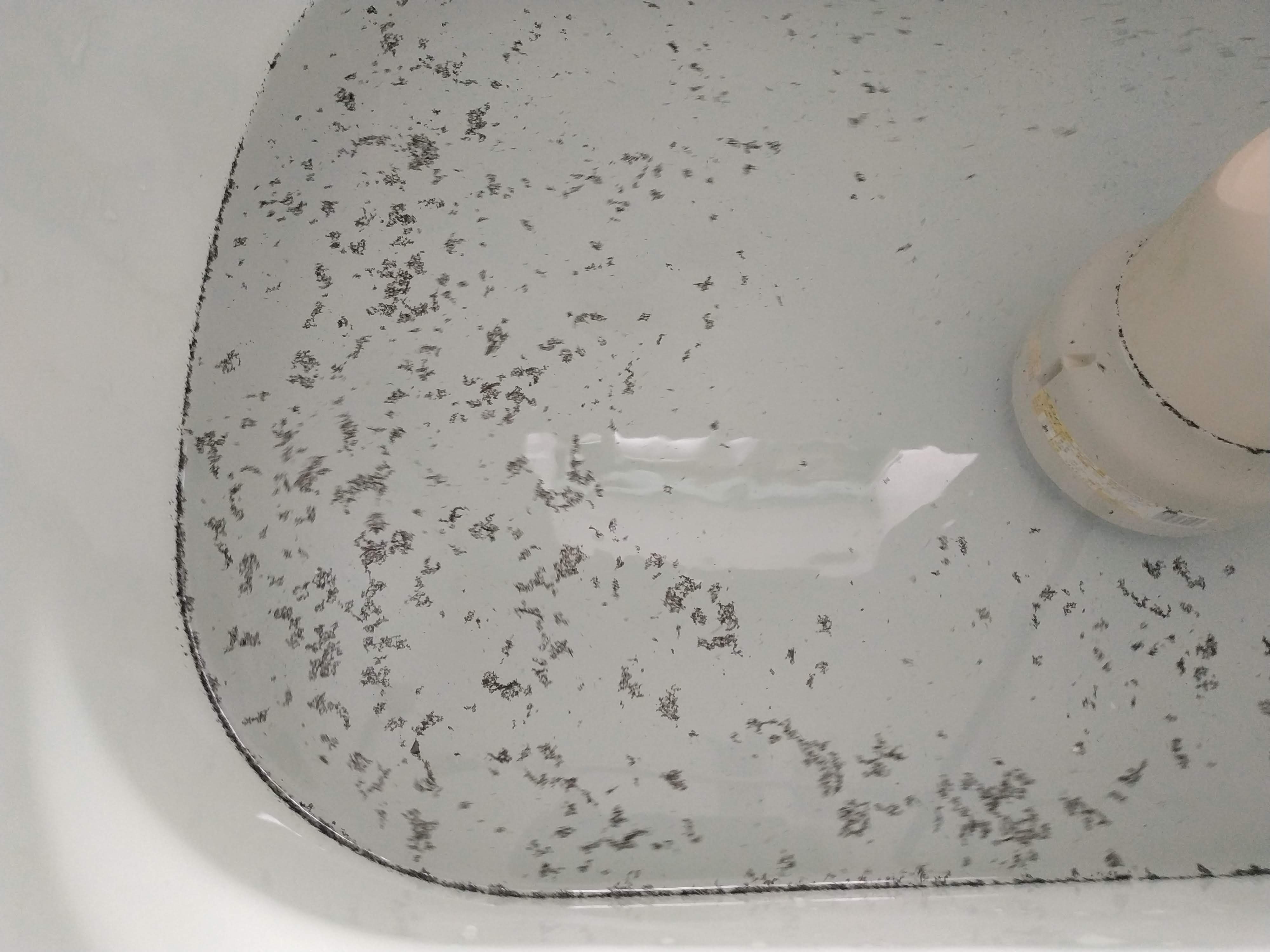 追い焚き配管 風呂釡 から出て来る３種類の黒い汚れの正体とは おそうじ専科